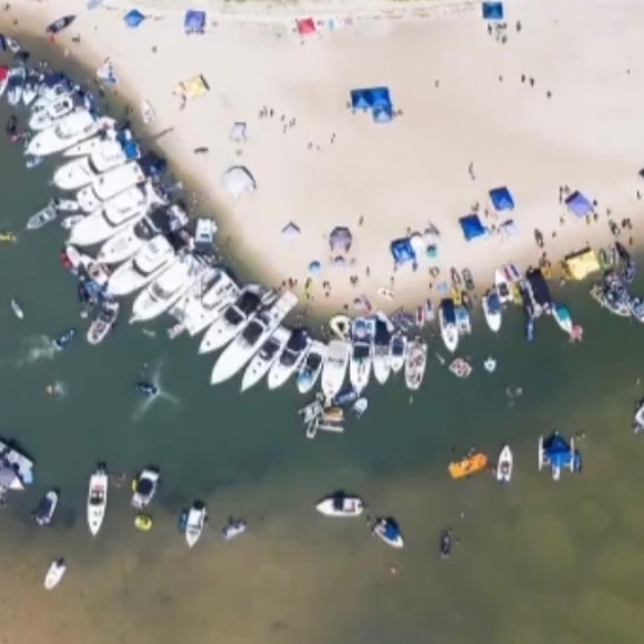 Meet your Posher, Taylor - Picture 1 of 1